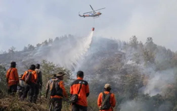 Karhutla Semeru Meluas, Dua Helikopter Dikerahkan Water Bombing