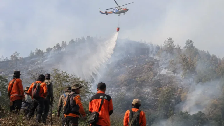 Karhutla Semeru Meluas, Dua Helikopter Dikerahkan Water Bombing