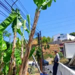 Tiang PJU Jalan Samarang Dievakuasi karena Hampir Roboh, Dishub Utamakan Keselamatan Pengguna Jalan