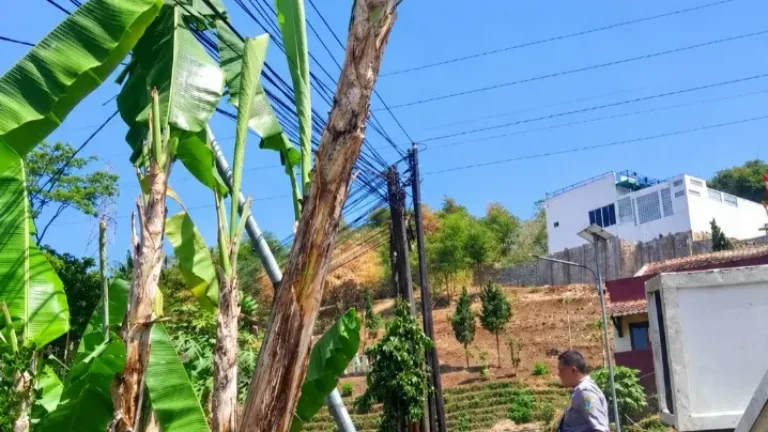 Tiang PJU Jalan Samarang Dievakuasi karena Hampir Roboh, Dishub Utamakan Keselamatan Pengguna Jalan