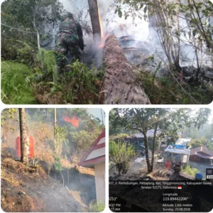 Aksi Cepat Babinsa Kodim 1409/Gowa Bersama Warga Berhasil Gagalkan Meluasnya Karhutla di Bukit Pattappang