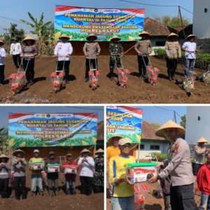 Tanam Jagung Serentak, Polres Garut Dorong Ketahanan Pangan