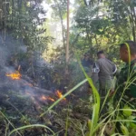 Kebakaran Lahan Seluas 2 Ha di Kec. Manuju Berhasil Dipadamkan Gabungan TNI dan Satpol PP