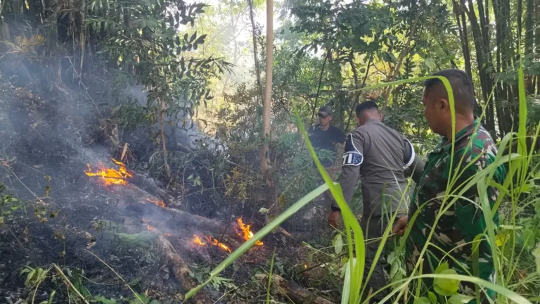 Kebakaran Lahan Seluas 2 Ha di Kec. Manuju Berhasil Dipadamkan Gabungan TNI dan Satpol PP