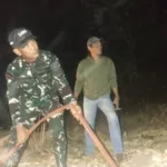 Sinergitas TNI, Damkar, dan Warga Gowa Sukses Padamkan Karhutla di Pattallasang