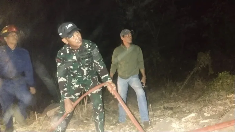 Sinergitas TNI, Damkar, dan Warga Gowa Sukses Padamkan Karhutla di Pattallasang