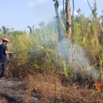 Aksi Heroik Pakai Alat Seadanya, Babinsa dan Warga Pallangga Berhasil Jinakkan Si Jago Merah