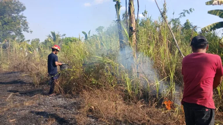 Aksi Heroik Pakai Alat Seadanya, Babinsa dan Warga Pallangga Berhasil Jinakkan Si Jago Merah
