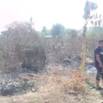 Sinergi Babinsa dan Warga Bontomarannu Berhasil Jinakkan Si Jago Merah di Lahan 1 Hektar