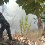 Bersama Warga dan Damkar, Babinsa Kodim 1409/Gowa Halau Api yang Lahap Kebun Warga