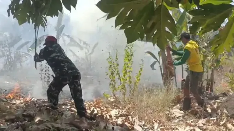 Bersama Warga dan Damkar, Babinsa Kodim 1409/Gowa Halau Api yang Lahap Kebun Warga