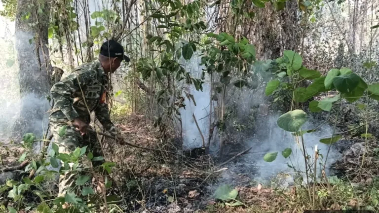 Gerak Cepat Babinsa dan Warga Padamkan Karhutla Seluas 1 Hektare di Bontomarannu