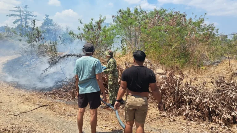 Kolaborasi Babinsa, Damkar, dan Warga Padamkan Kebakaran Lahan di Desa Romangloe
