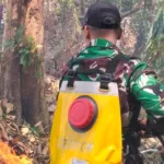 Gerak Cepat Laporan Warga, Babinsa dan Manggala Agni Padamkan Kebakaran Lahan di Gowa