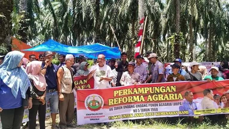 HGU Habis Ratusan masyarakat Dt. Majo indo klaim kembalikan Tanah Ulayat