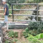 Bronjong Penahan Tebing Sungai Hanyut Terbawa Arus, Jembatan dan Pemukiman Warga Dusun Kanang Terancam