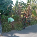 Aksi Nyata Babinsa Manjapai dan Warga Dusun Data Wujudkan Lingkungan Bersih dan Aman