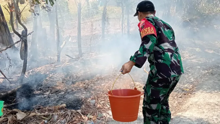 Lahan 2 Hektar di Romangloe Terbakar, Aksi Cepat Babinsa Cegah Api Meluas