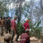 Kebakaran Lahan Seluas 1,5 Hektar Terjadi di Desa Manimbahoi, Aparat Bersama Warga Berhasil Padamkan Sebelum Meluas