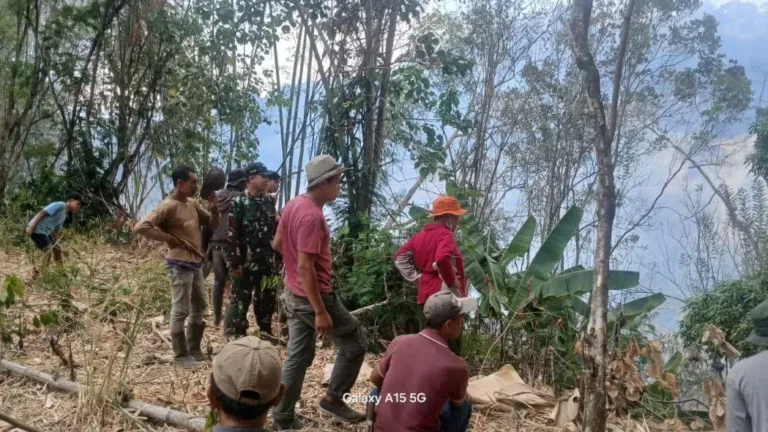 Kebakaran Lahan Seluas 1,5 Hektar Terjadi di Desa Manimbahoi, Aparat Bersama Warga Berhasil Padamkan Sebelum Meluas
