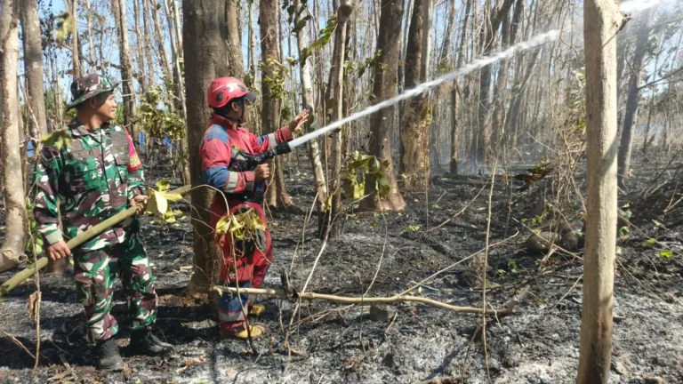 Aksi Cepat Babinsa dan Damkar Padamkan Kebakaran Lahan Seluas 1 Hektar di Gowa