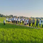 Dukung Swasembada Pangan, Babinsa Koramil Bajeng Dampingi Sosialisasi Aplikasi Antiji di Gowa