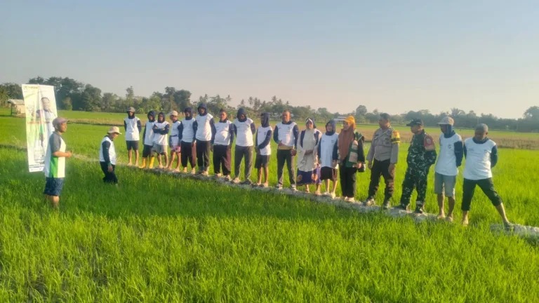 Dukung Swasembada Pangan, Babinsa Koramil Bajeng Dampingi Sosialisasi Aplikasi Antiji di Gowa