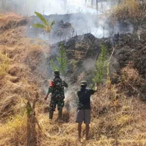 Sinergi TNI-Polri Bersama Manggala Agni dan Warga Padamkan Kebakaran Lahan di Gowa