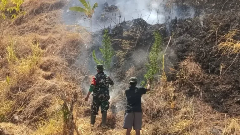 Sinergi TNI-Polri Bersama Manggala Agni dan Warga Padamkan Kebakaran Lahan di Gowa