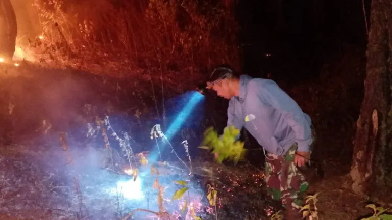 Gerak Cepat Babinsa dan Masyarakat Jinakkan Kebakaran Lahan di Malino Gowa