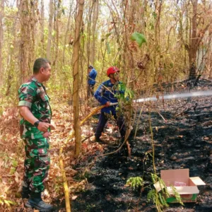 Aksi Cepat Babinsa dan Masyarakat Jinakkan Kebakaran Lahan di Parigi Gowa
