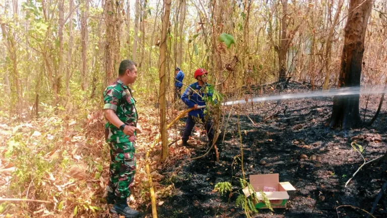 Aksi Cepat Babinsa dan Masyarakat Jinakkan Kebakaran Lahan di Parigi Gowa