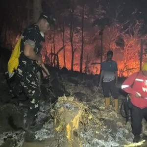 Aksi Heroik Personel Gabungan dan Masyarakat Padamkan Karhutla di Kabupaten Gowa