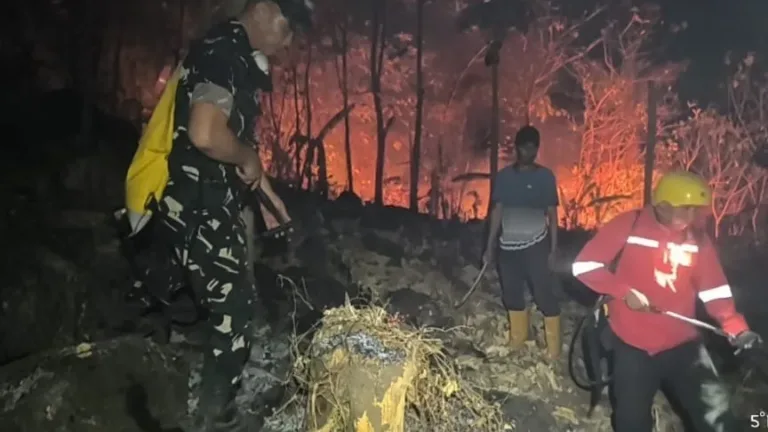 Aksi Heroik Personel Gabungan dan Masyarakat Padamkan Karhutla di Kabupaten Gowa