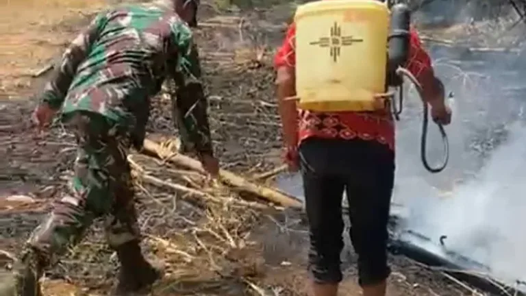 Babinsa Kelurahan Sapaya Bergerak Cepat Tangani Kebakaran Lahan Warga