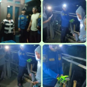 UPT Damkarmat Limbangan Evakuasi Ular Sepanjang 5 Meter di Cihanjuang