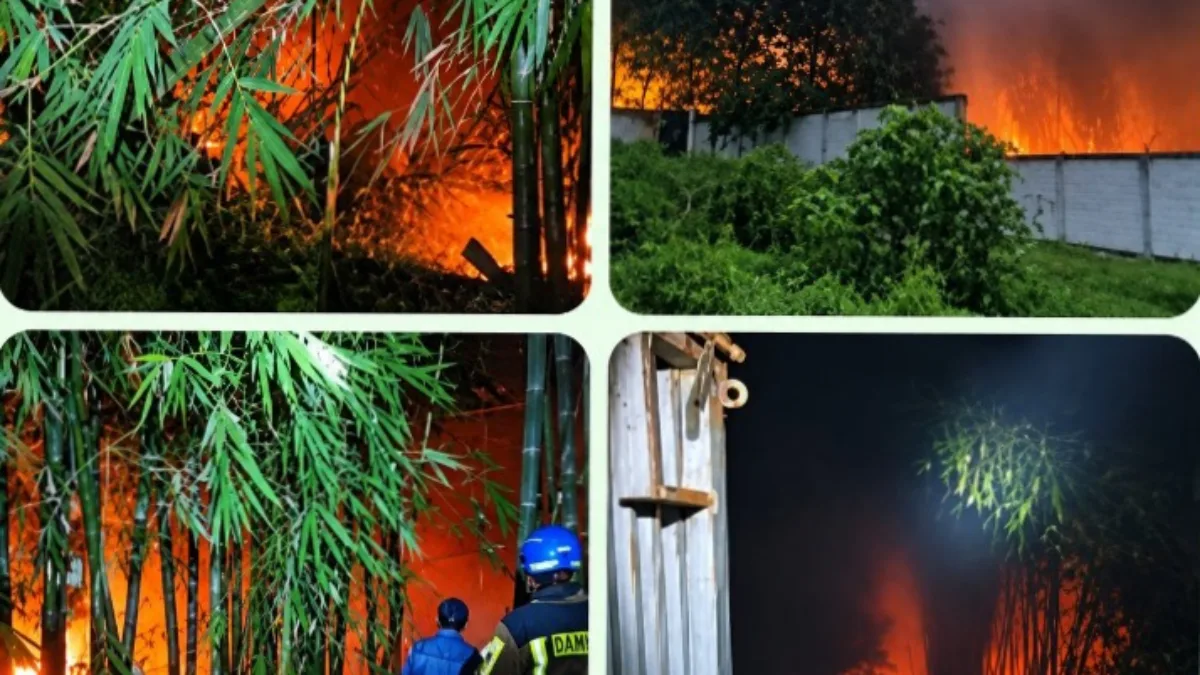 Kebun Bambu dan Aren Seluas 2 Hektare Terbakar di Leles, Damkarmat Garut Berhasil Kendalikan Api