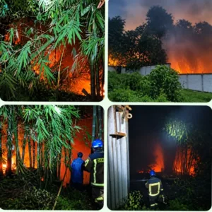 Kebun Bambu dan Aren Seluas 2 Hektare Terbakar di Leles, Damkarmat Garut Berhasil Kendalikan Api