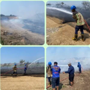 Sisa Pembakaran Picu Kebakaran Lahan Landasan TNI AU Cikelet, Damkarmat Bergerak Cepat