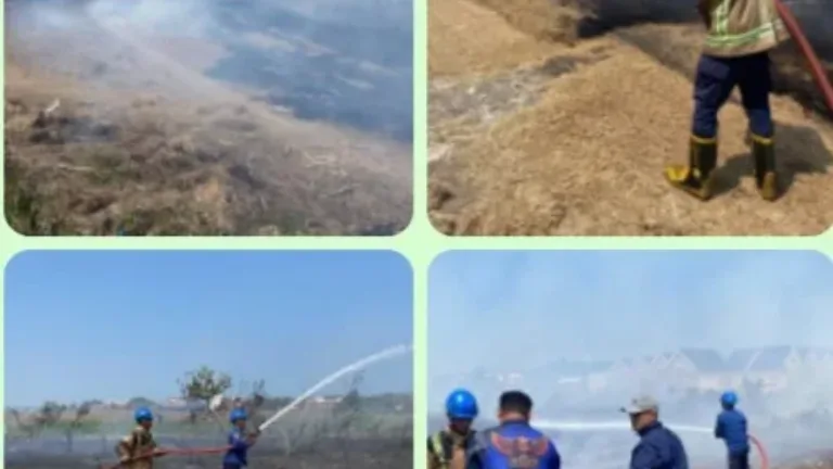 Sisa Pembakaran Picu Kebakaran Lahan Landasan TNI AU Cikelet, Damkarmat Bergerak Cepat