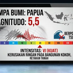 Gempa Magnitudo 5,5 Guncang Papua, Tak Berpotensi Tsunami