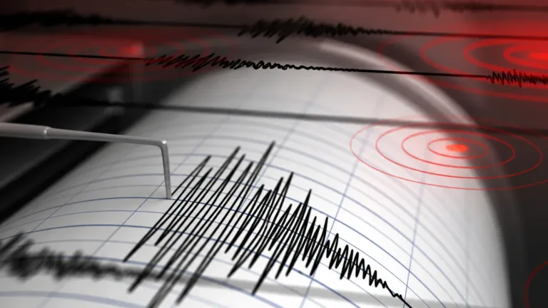 Gempa M4,9 Kembali Guncang Flores, Tidak Berpotensi Tsunami