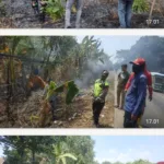 Sinergi Cepat TNI-Polri dan Damkar Padamkan Kebakaran Lahan di Pattallassang Gowa