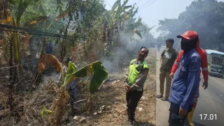 Sinergi Cepat TNI-Polri dan Damkar Padamkan Kebakaran Lahan di Pattallassang Gowa
