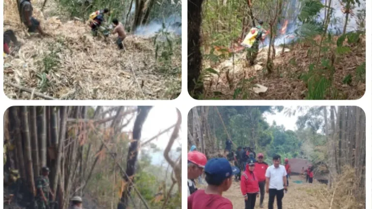 Sinergi TNI, Polri, dan Warga Padamkan Kebakaran Lahan di Malino Gowa