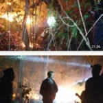 Lahan Kebun Seluas 1,5 Hektar di Gowa Hangus Terbakar, Warga dan Babinsa Sigap Padamkan Api