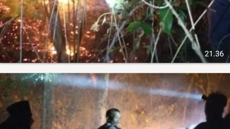 Lahan Kebun Seluas 1,5 Hektar di Gowa Hangus Terbakar, Warga dan Babinsa Sigap Padamkan Api