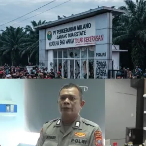Kerusuhan Labuhanbatu Usai Warga Diduga Ditembak Polisi di Kebun Sawit PT Milano