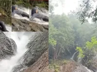 Windy Rahma Putri Tewas di Air Terjun Robo Harau, Ini Kronologinya