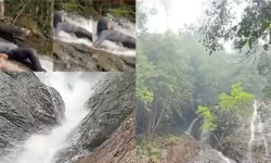 Windy Rahma Putri Tewas di Air Terjun Robo Harau, Ini Kronologinya